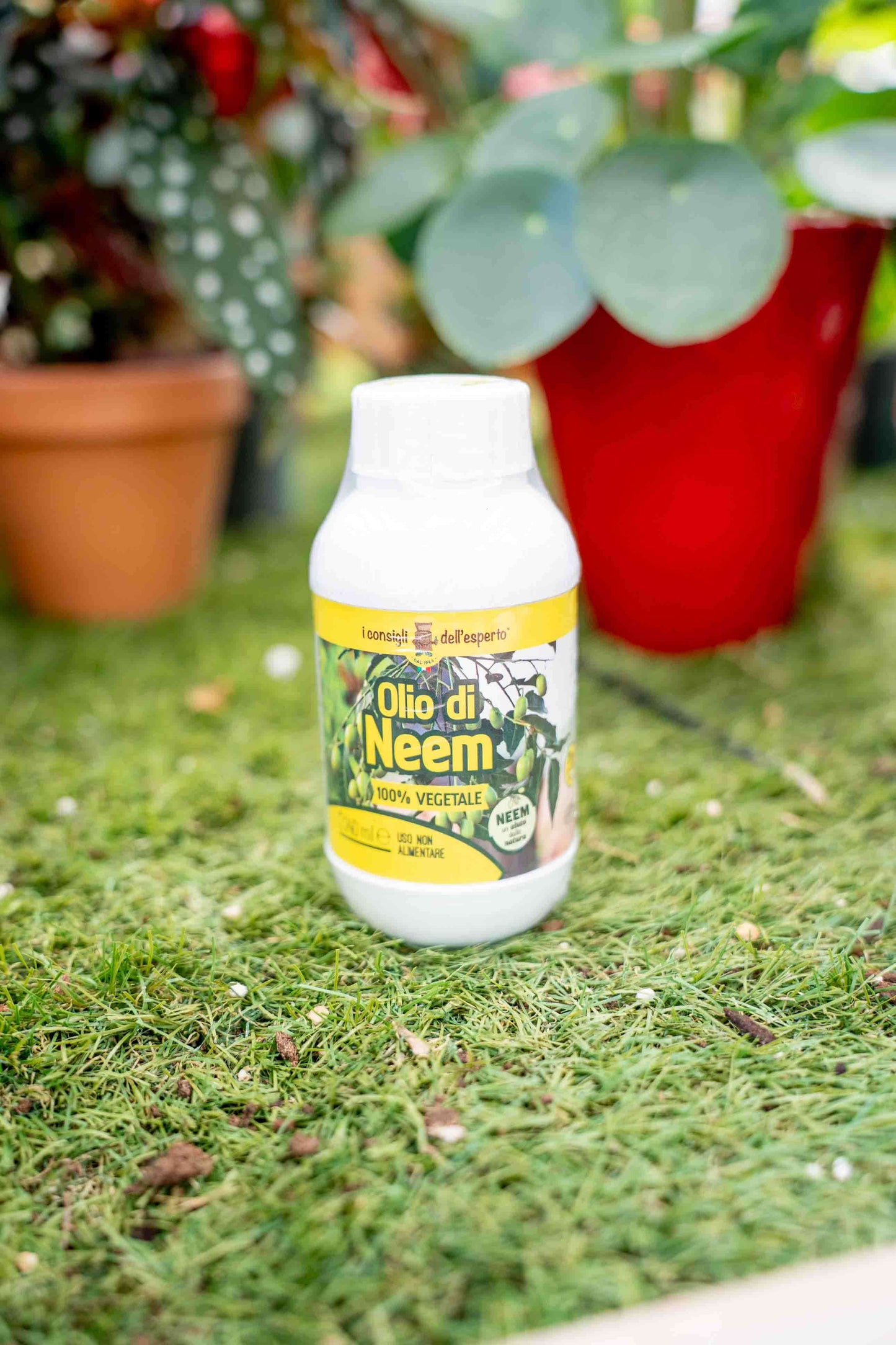 Olio di Neem 240ml