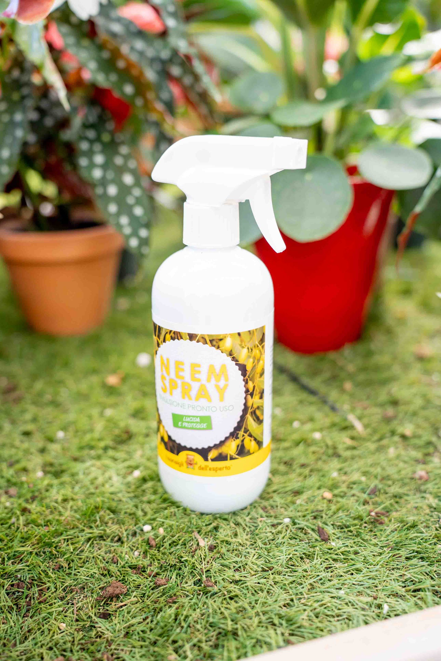 Olio di Neem Spray Pronto