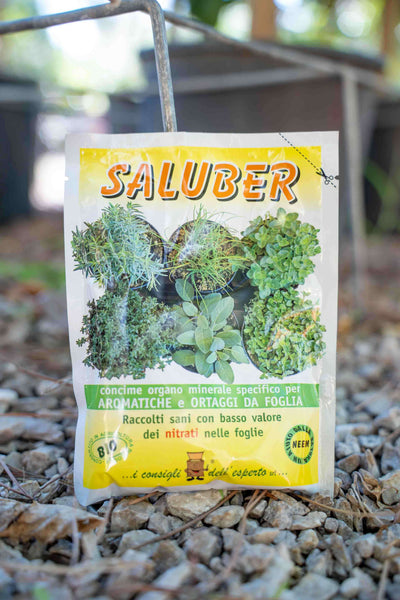 Concime per aromatiche e ortaggi da foglia - Saluber 100gr, fertilizzante organominerale con piante aromatiche.