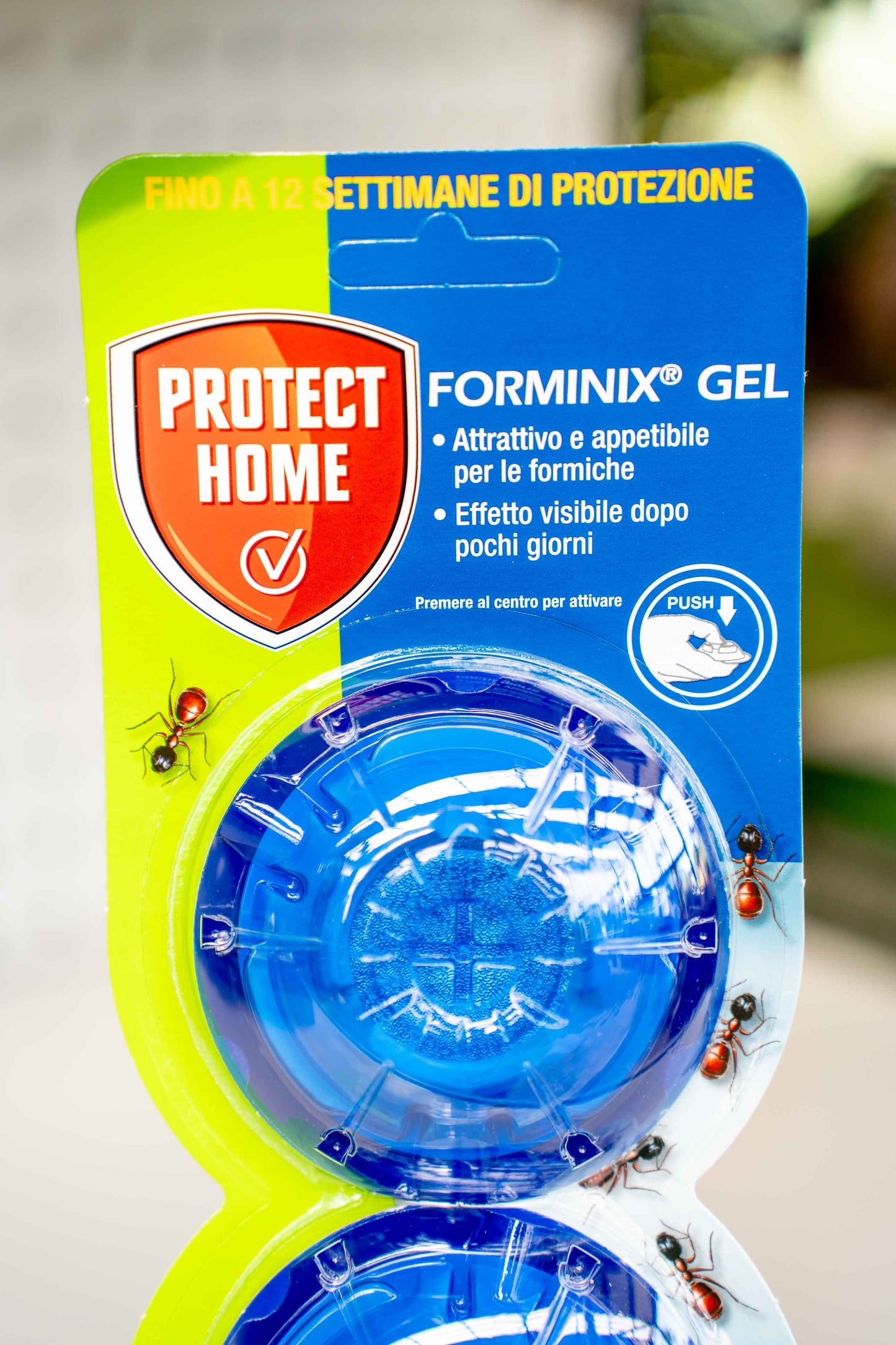 Trappola Attira Formiche Pronta All'Uso - Forminix Gel