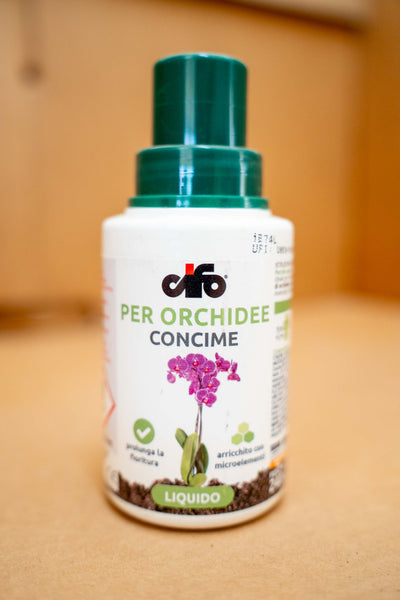 Concime Liquido Per Orchidee