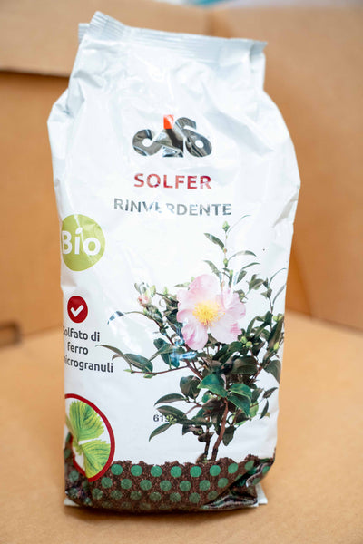 Solfato Di Ferro Rinverdente