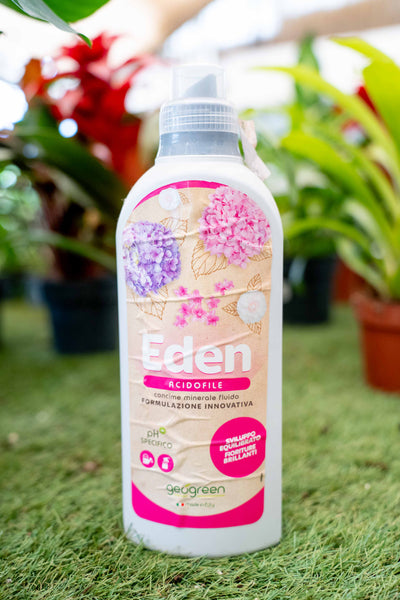 Concime Piante Acidofile