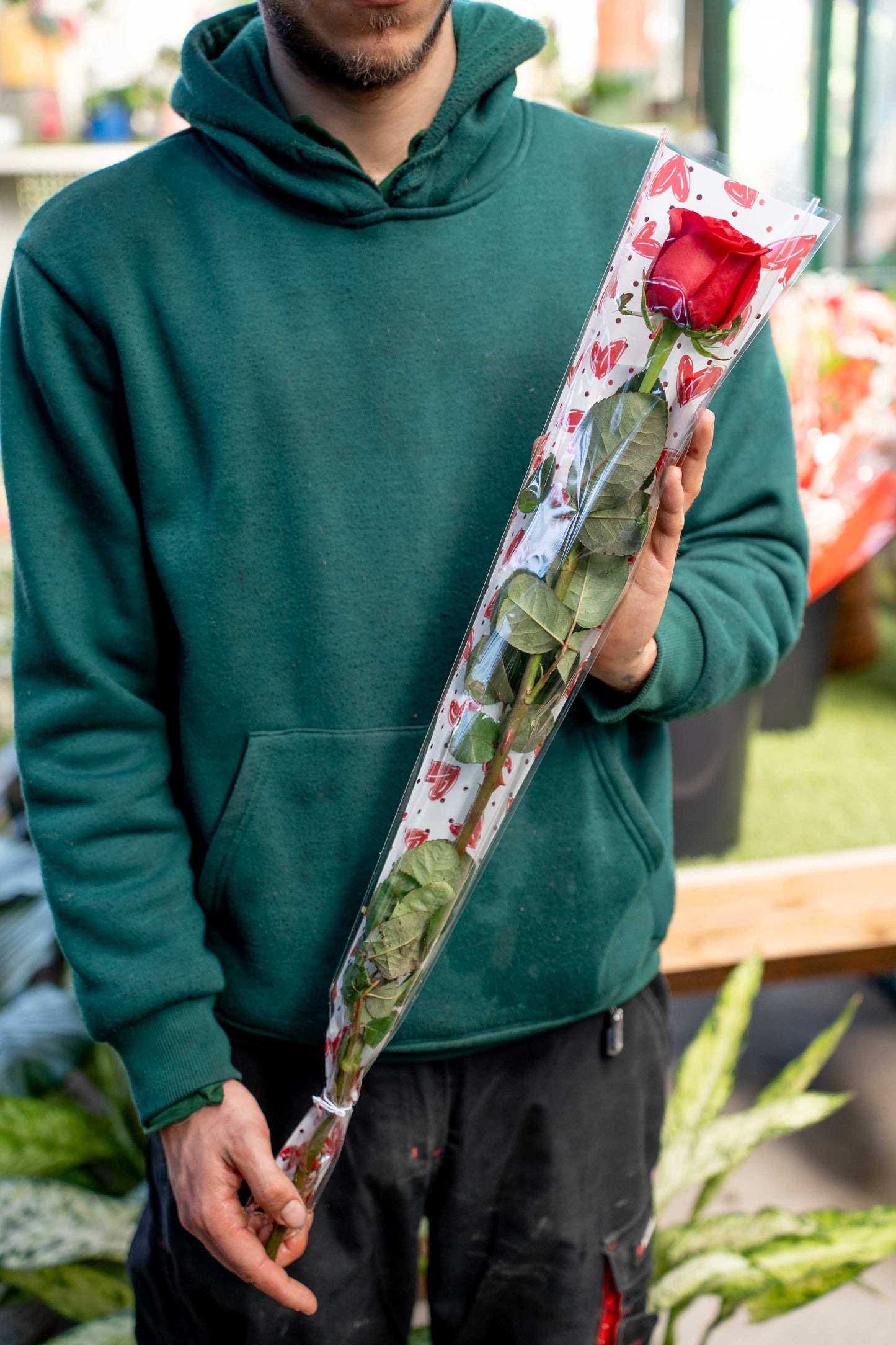 1 Rosa Elite Rossa