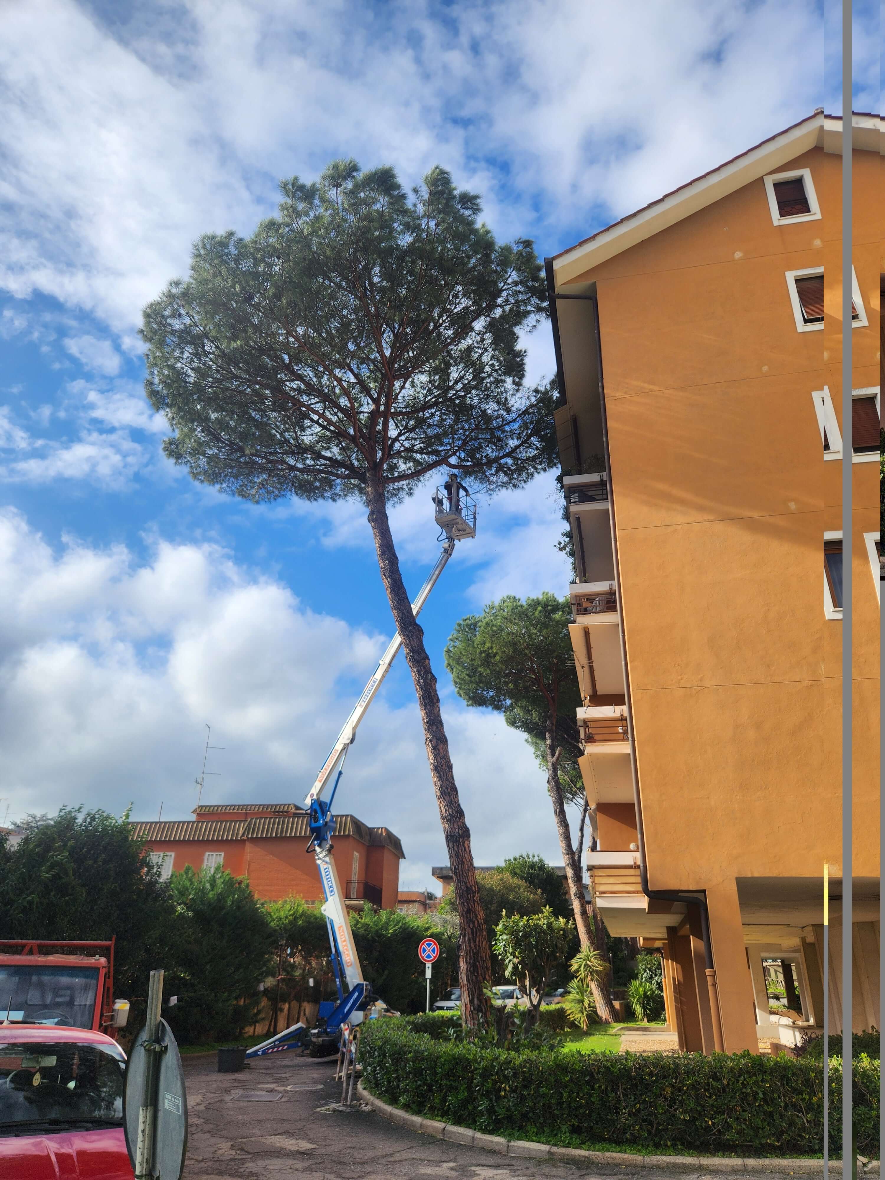 Poatura Alberi Roma