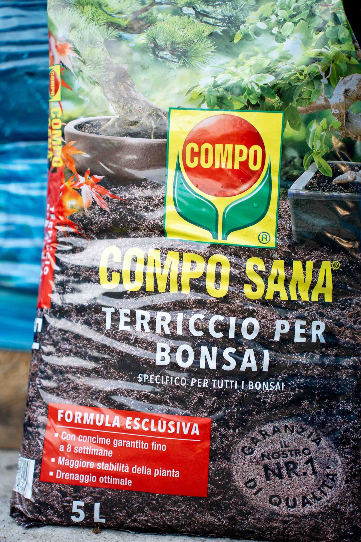 Terriccio Compo Bonsai 5 litri