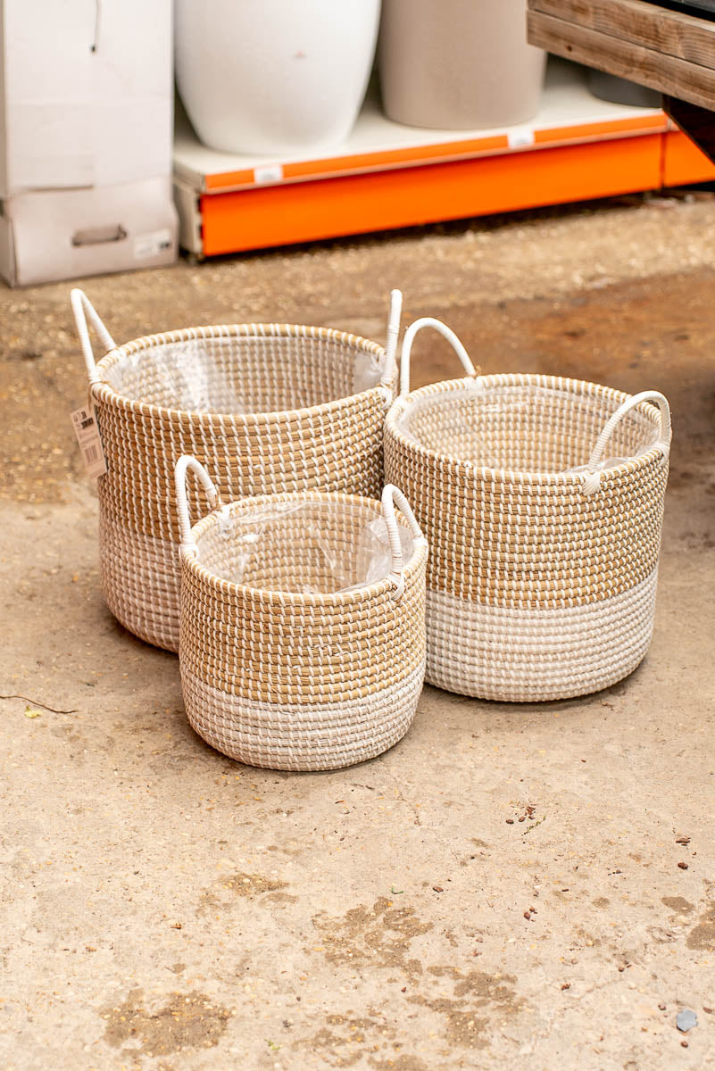 Coprivaso Scheurich 515 PLANTER NATURE