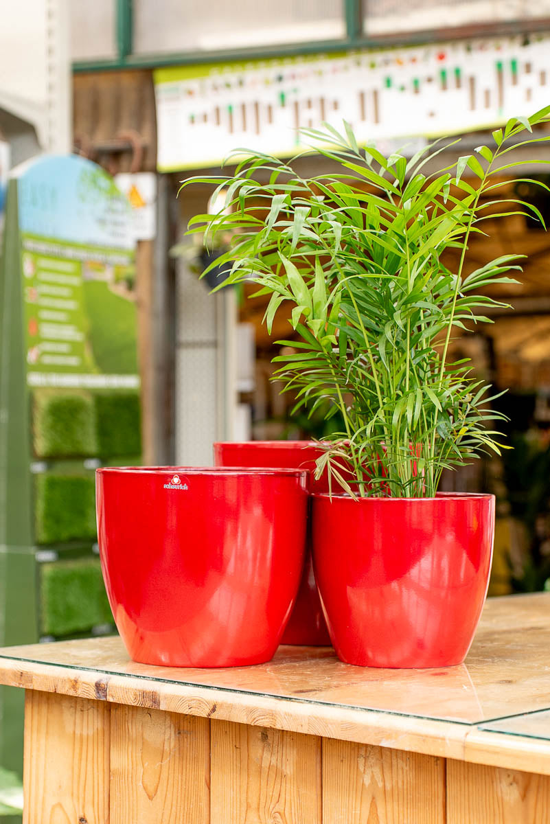 Coprivaso Scheurich 920 COVER-POT