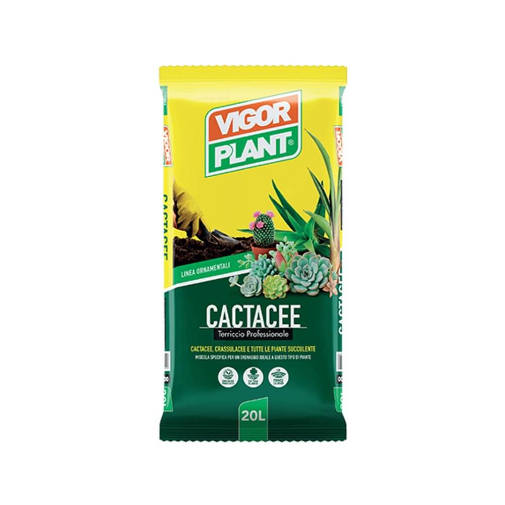 CACTACEE - Terriccio per Piante Grasse