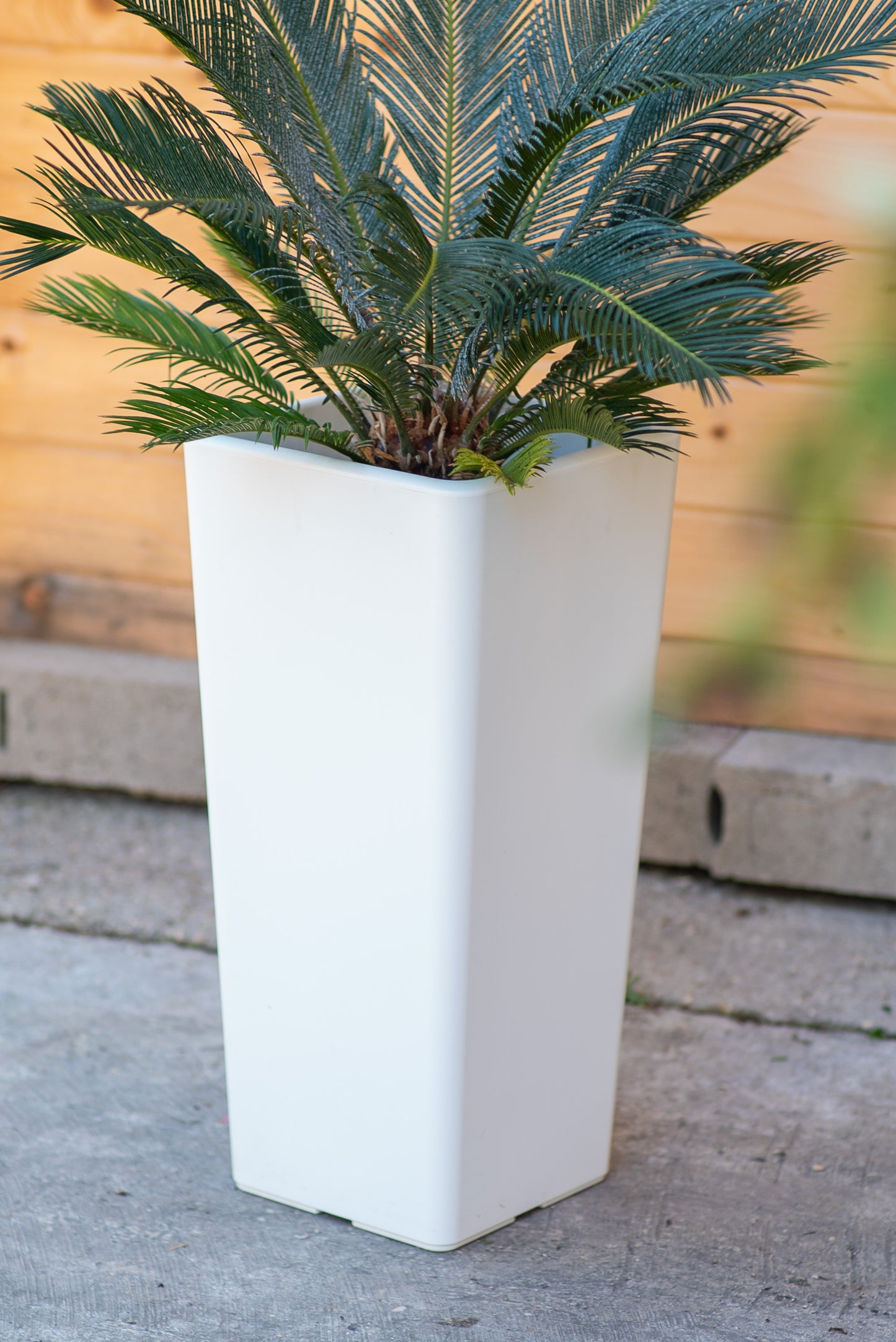 Clou - Cache-pot quadrato