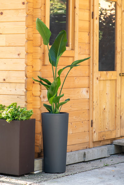 Vaso Tondo Alto Clou