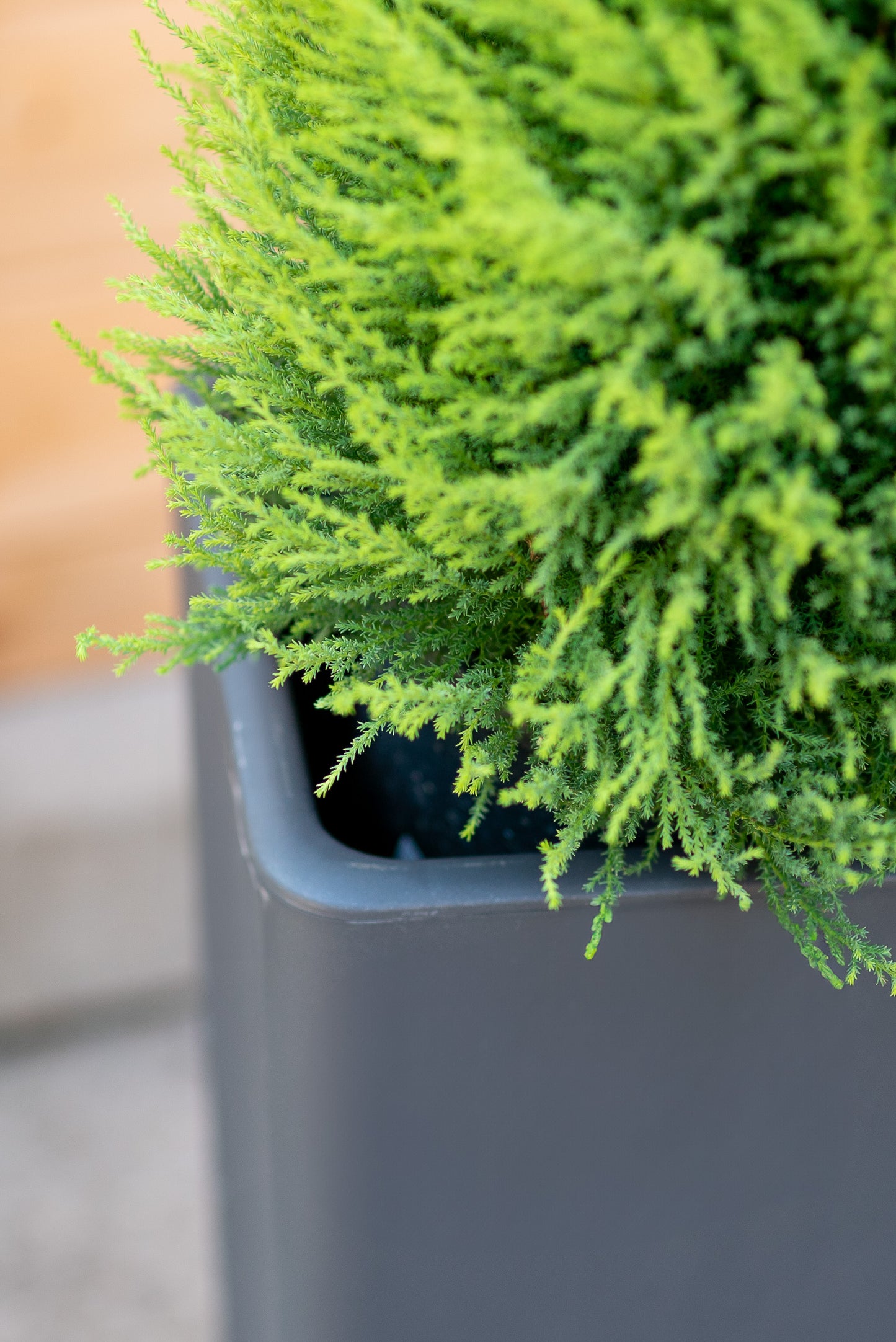 Clou - Cache-pot quadrato