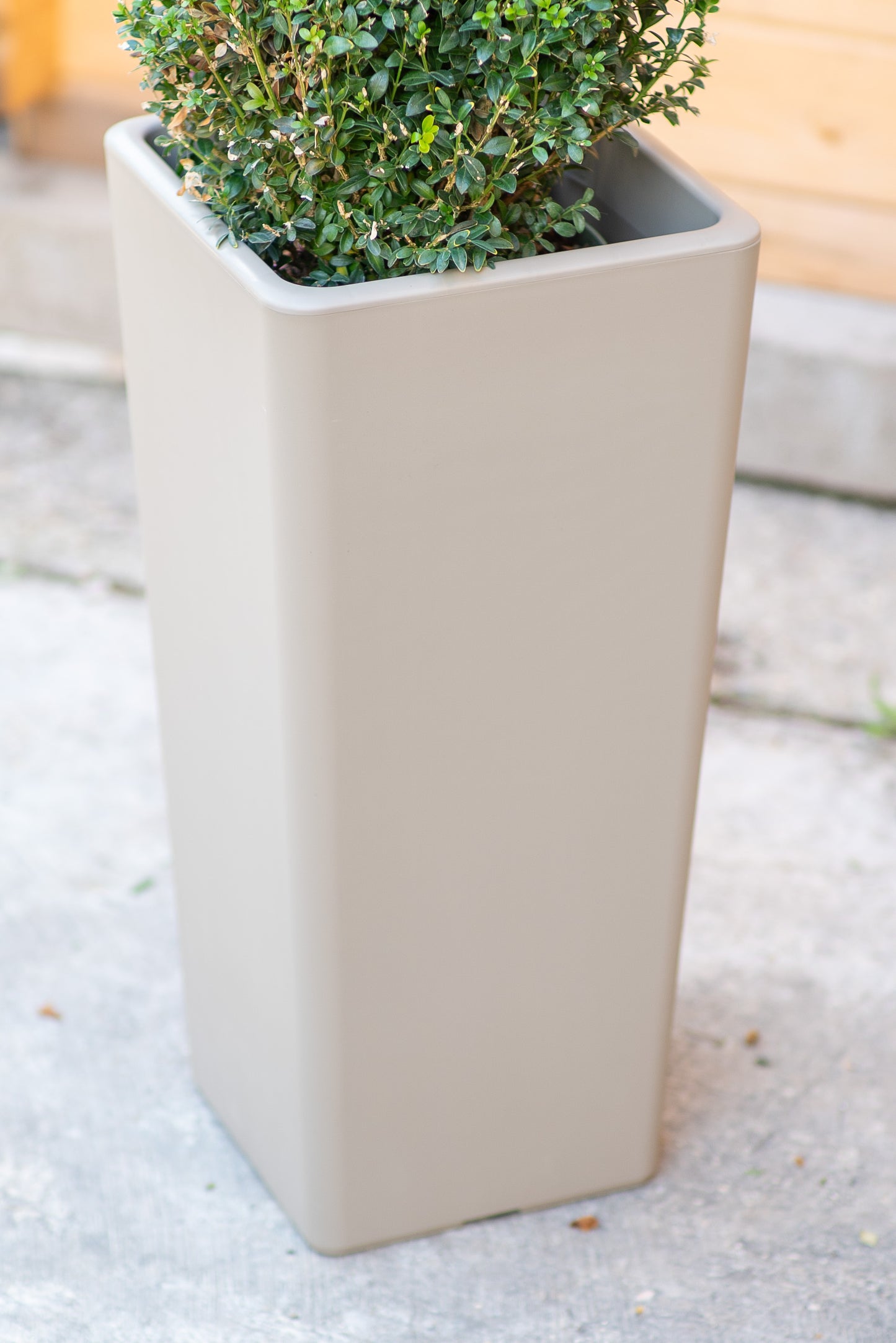 Clou - Cache-pot quadrato