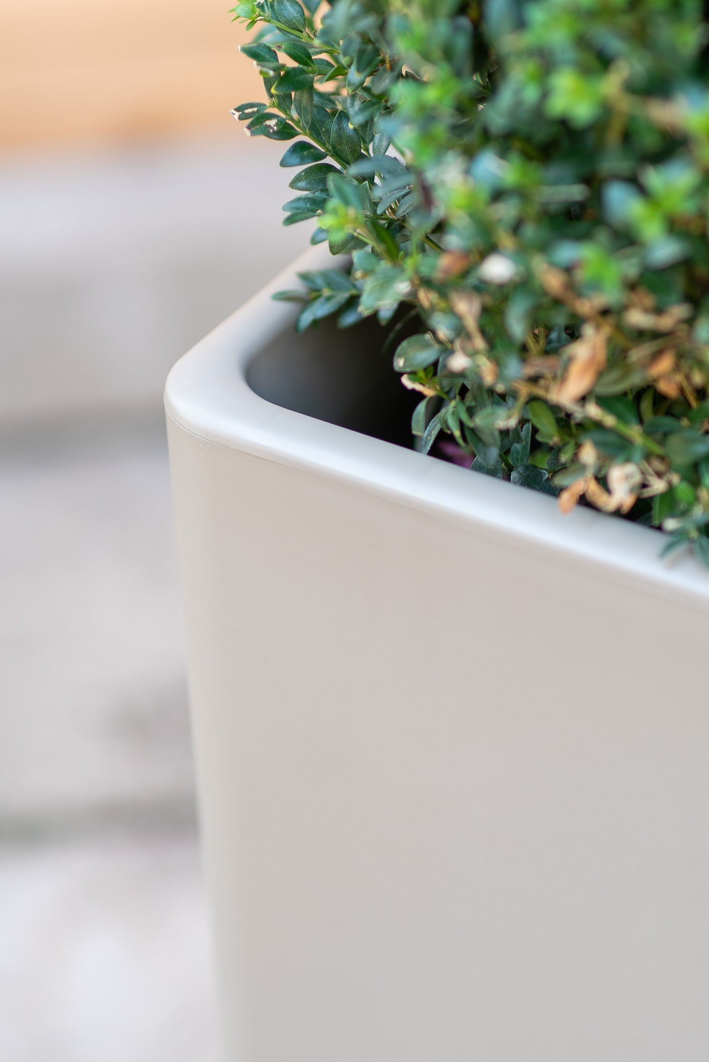 Clou - Cache-pot quadrato