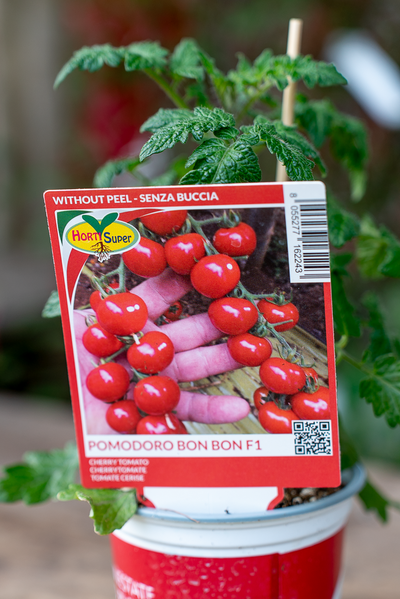 Pomodoro Bon Bon