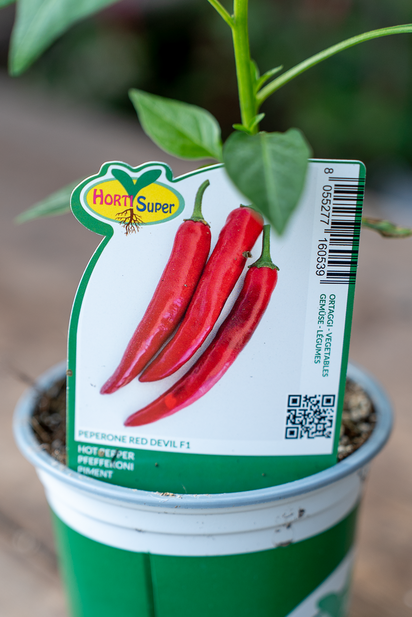 Peperone Red Devil