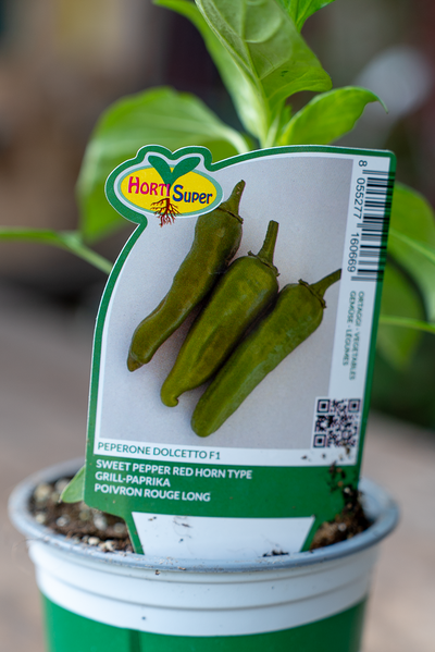 Peperone Dolcetto