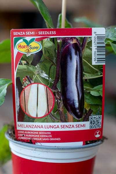 Melanzana Lunga Senza Semi