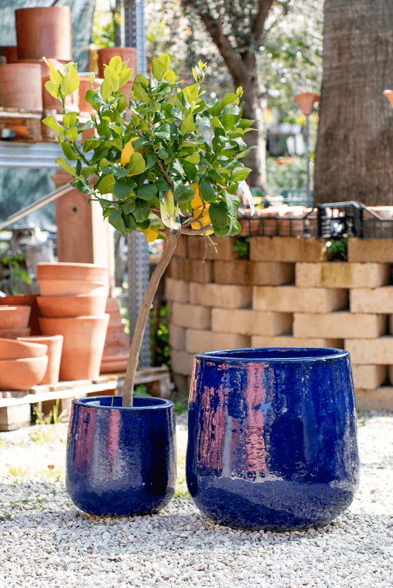 Vaso Nha Trang Falling Blue