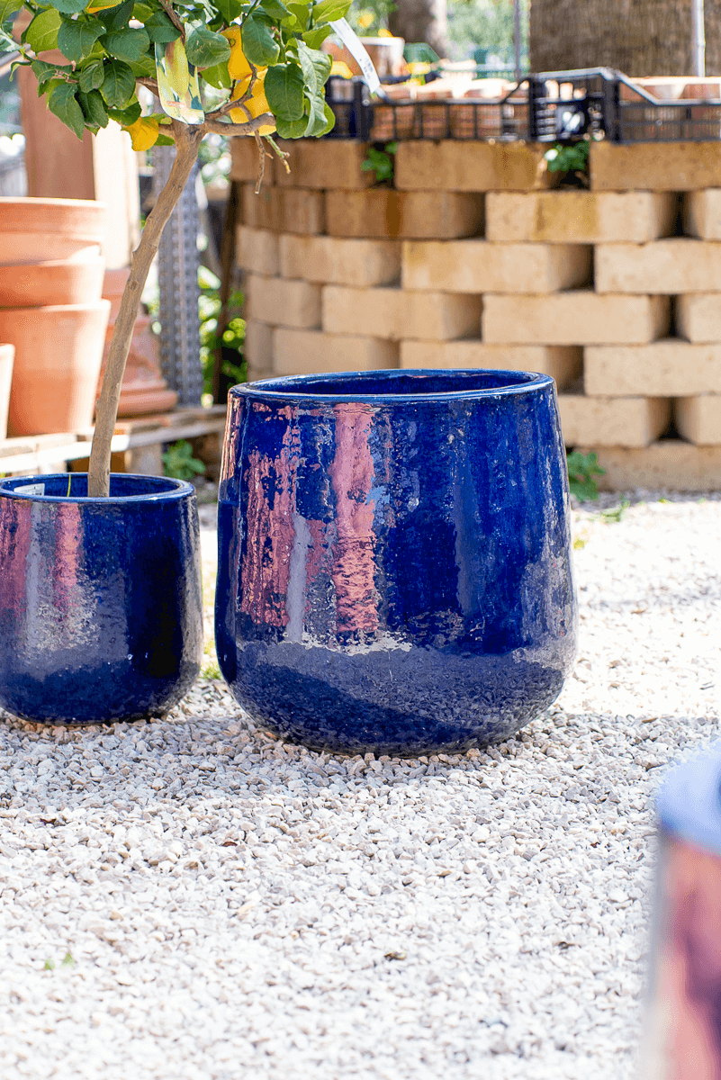 Vaso Nha Trang Falling Blue