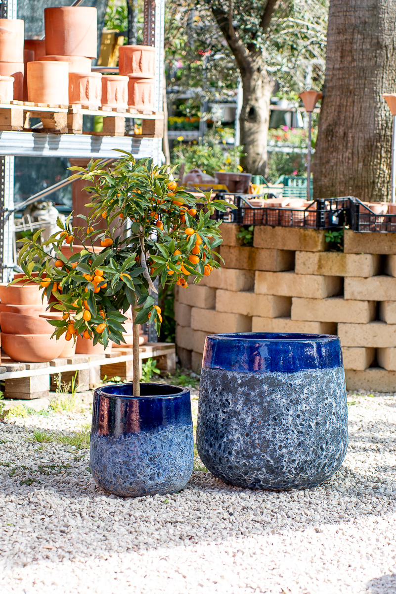 Vaso Waves Nha Trang Blue