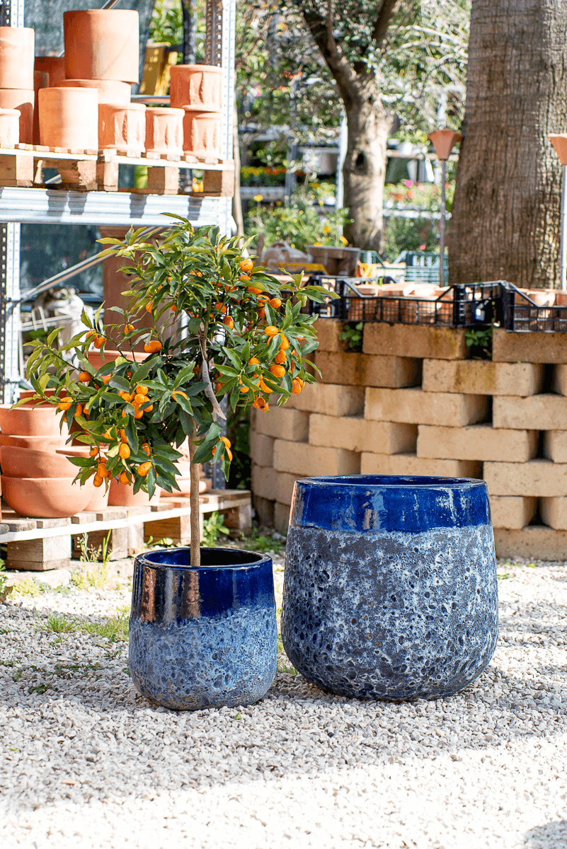 Vaso Waves Nha Trang Blue