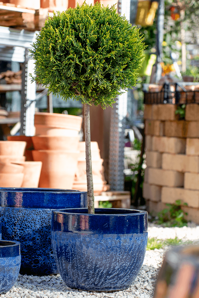 Vaso Waves Hanoi Blue