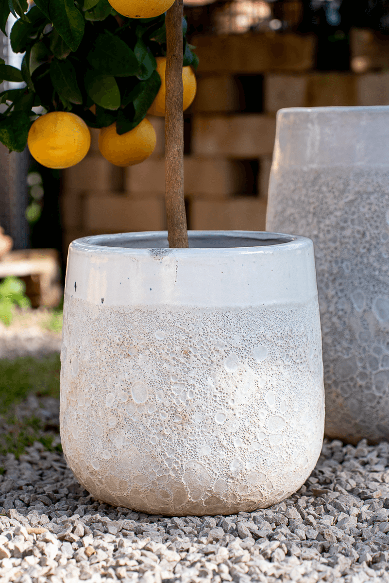 Vaso Waves Nha Trang White