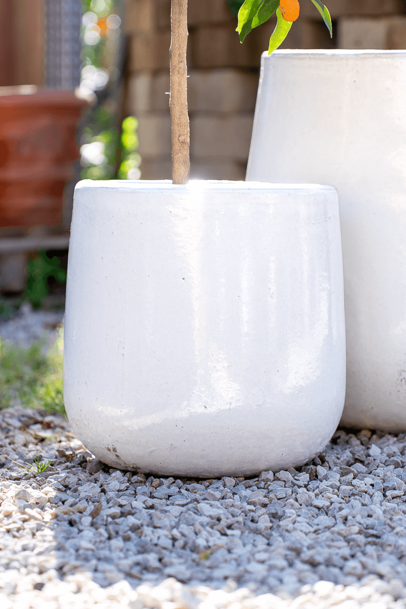 Vaso Nha Trang Falling White