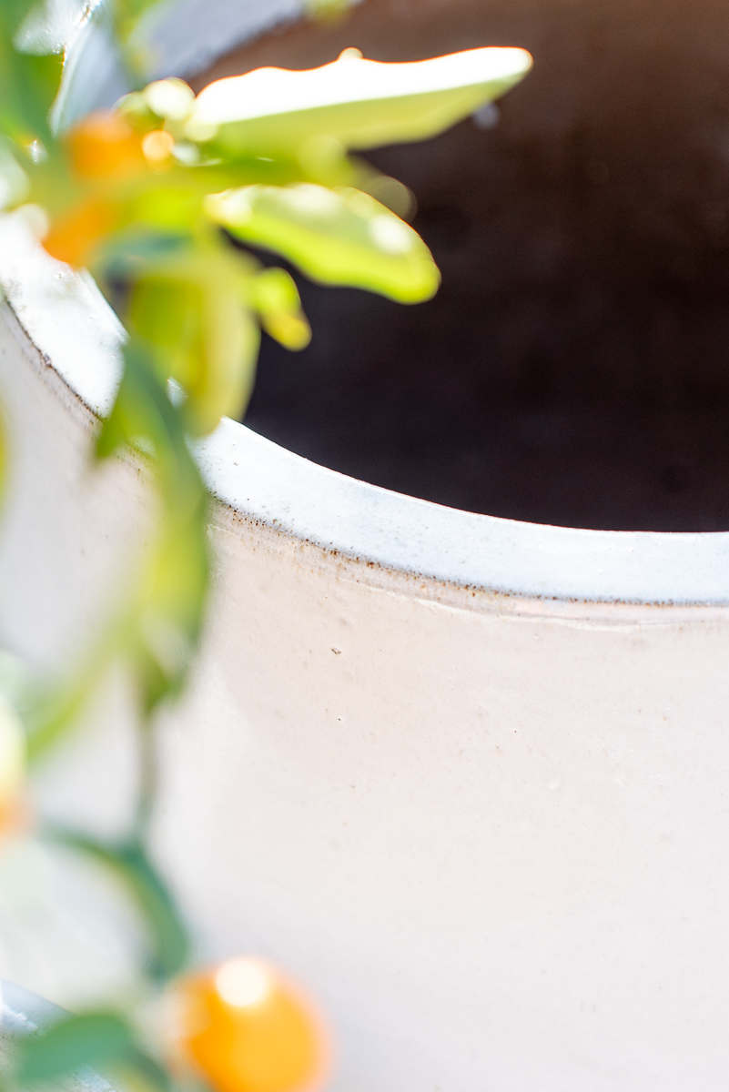 Vaso Nha Trang Falling White