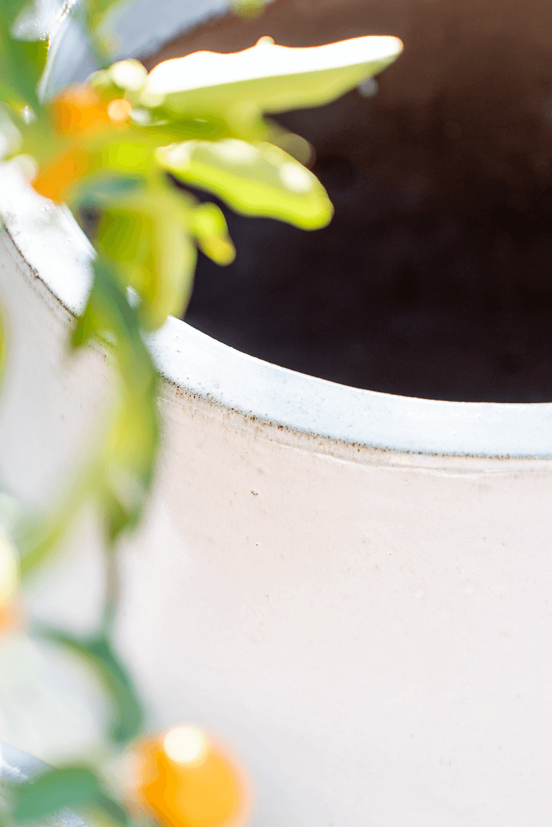 Vaso Nha Trang Falling White