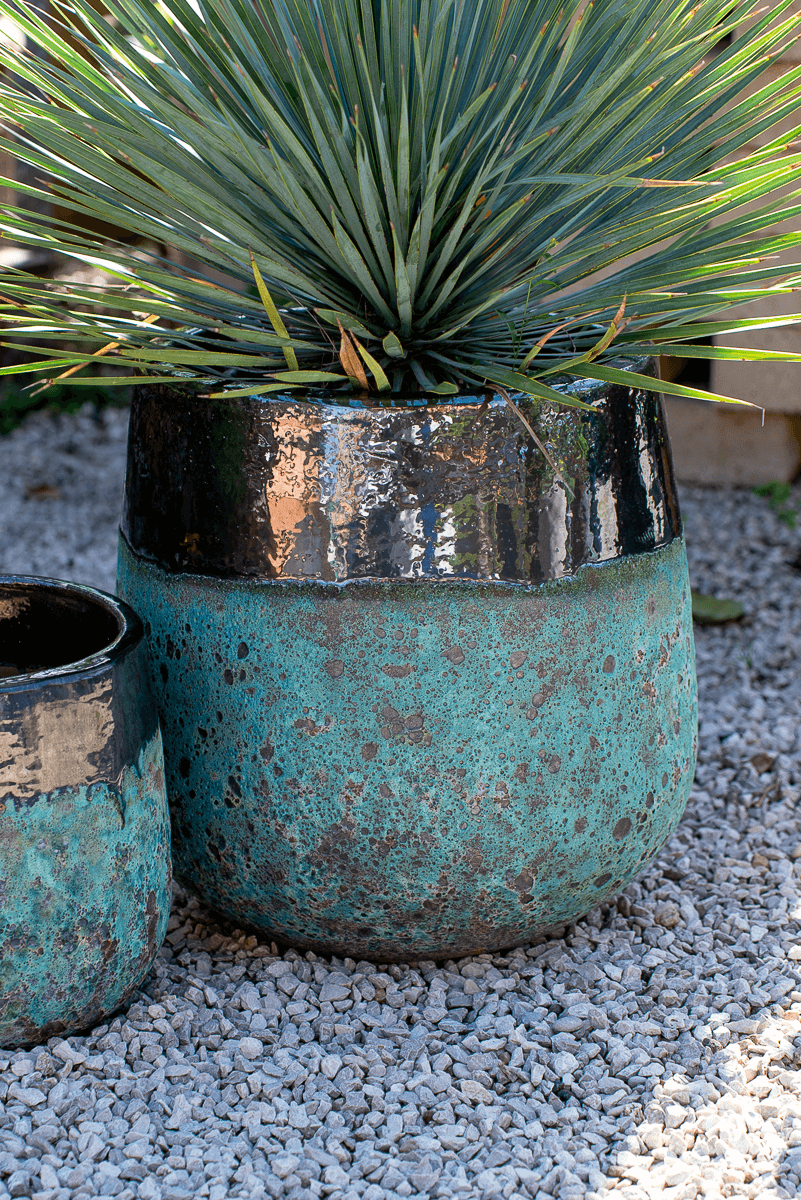Vaso Waves Nha Trang Green