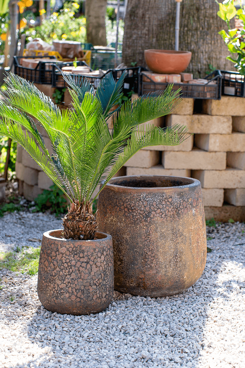 Vaso Nha Trang Atlantis Corten