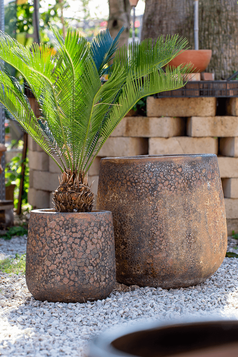 Vaso Nha Trang Atlantis Corten