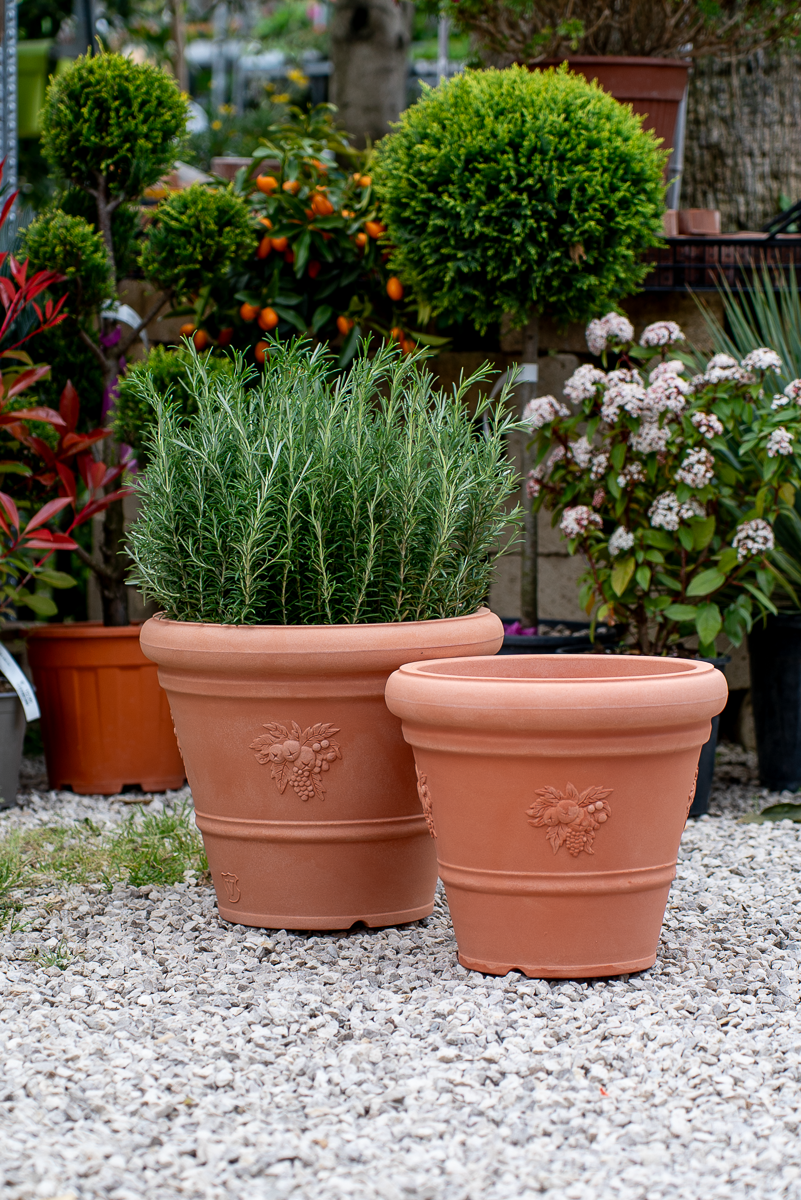 Vaso Rotondo Festonato