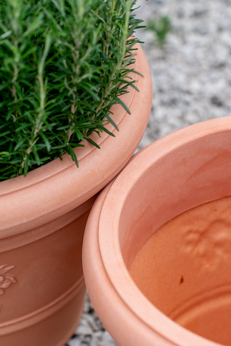 Vaso Rotondo Festonato