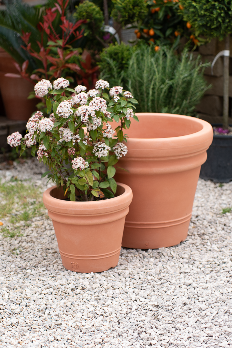 Vaso doppio bordo liscio