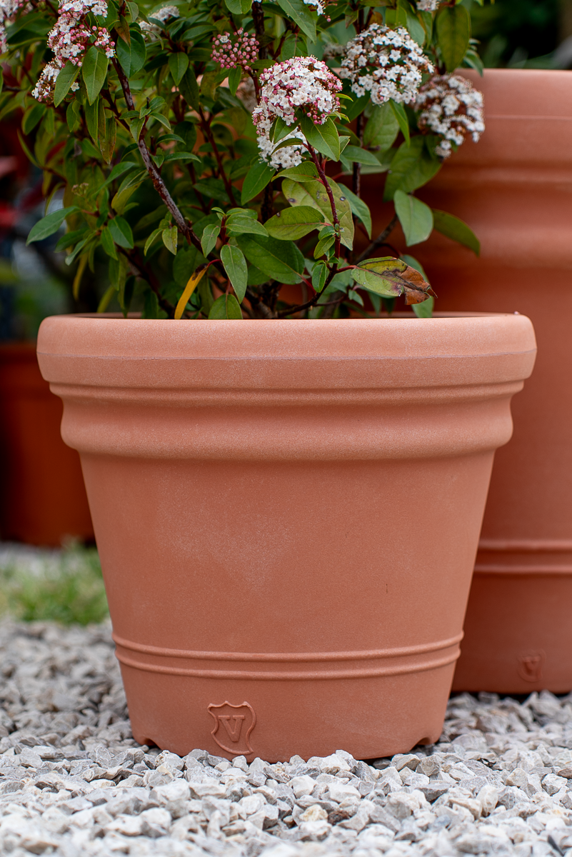 Vaso doppio bordo liscio