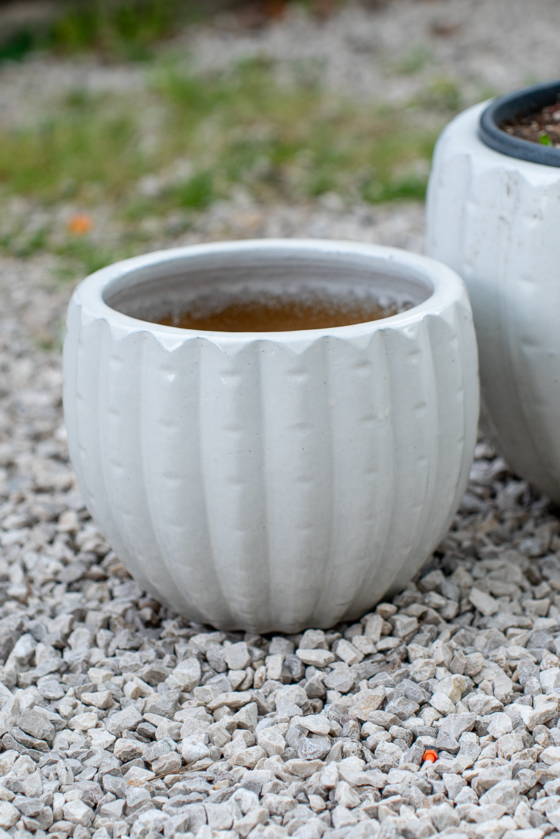 Cachepot Virgo Antique White