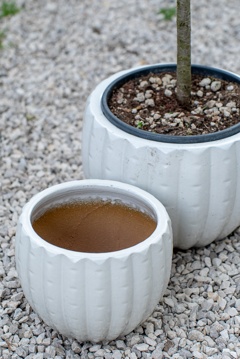 Cachepot Virgo Antique White