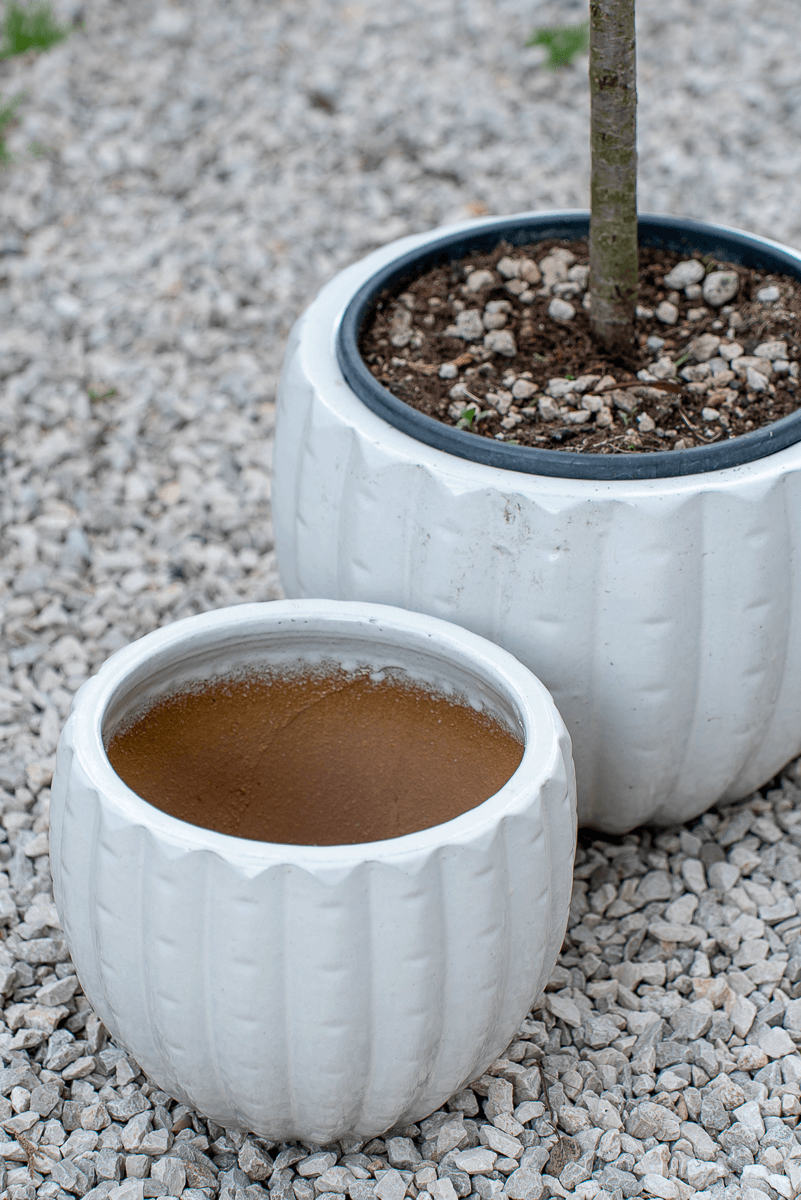 Cachepot Virgo Antique White