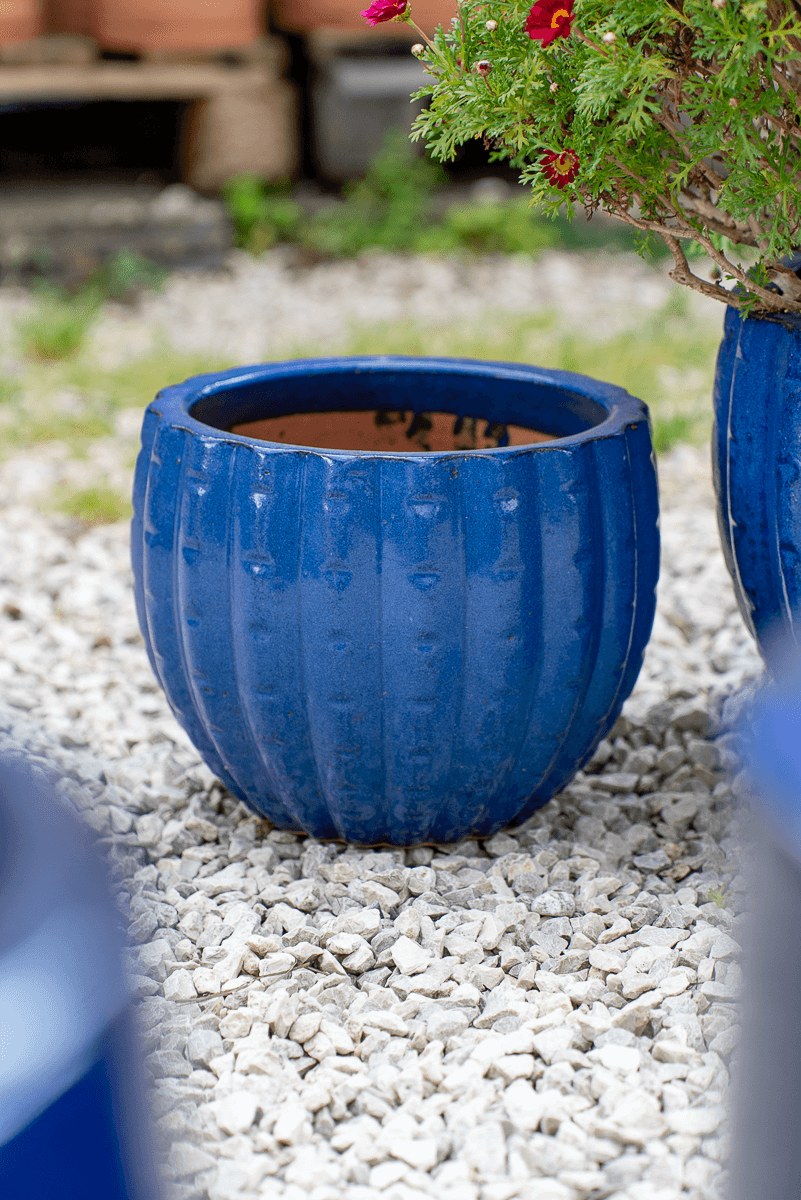Cachepot Virgo Blu Egizio