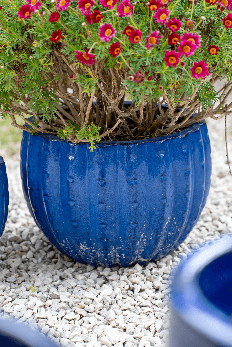Cachepot Virgo Blu Egizio