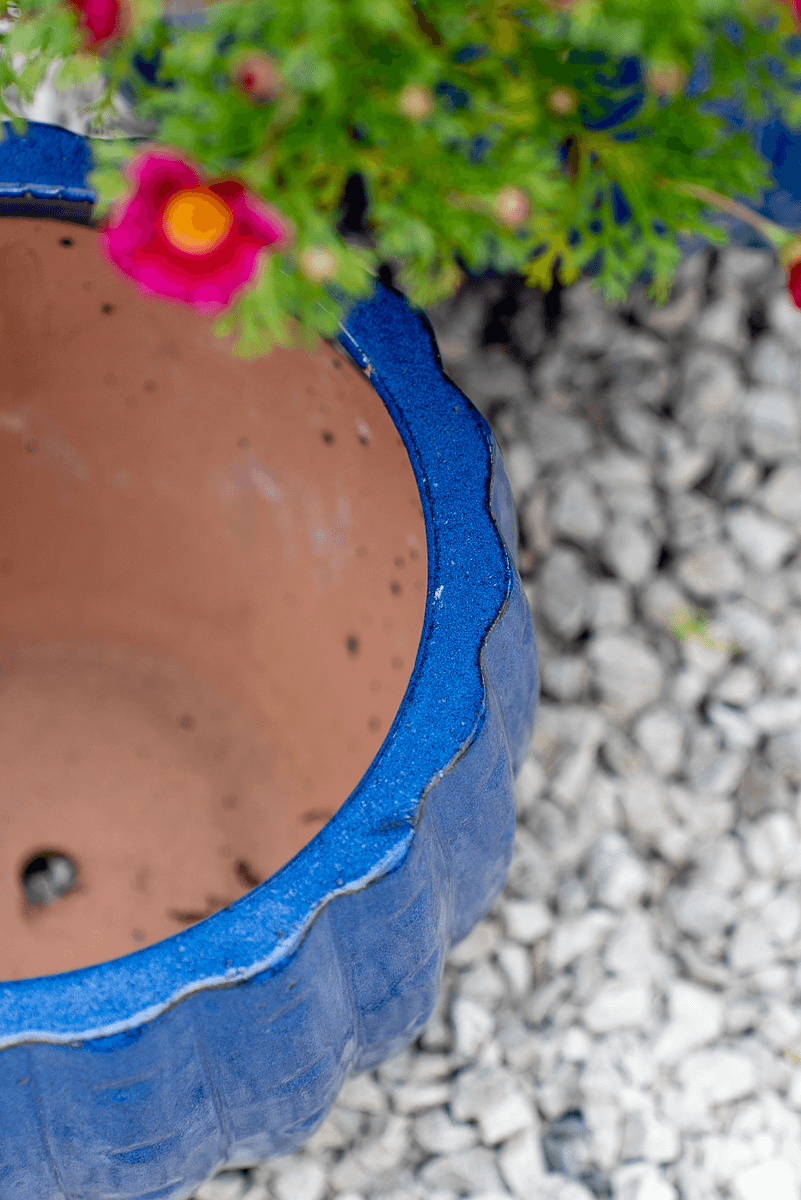 Cachepot Virgo Blu Egizio