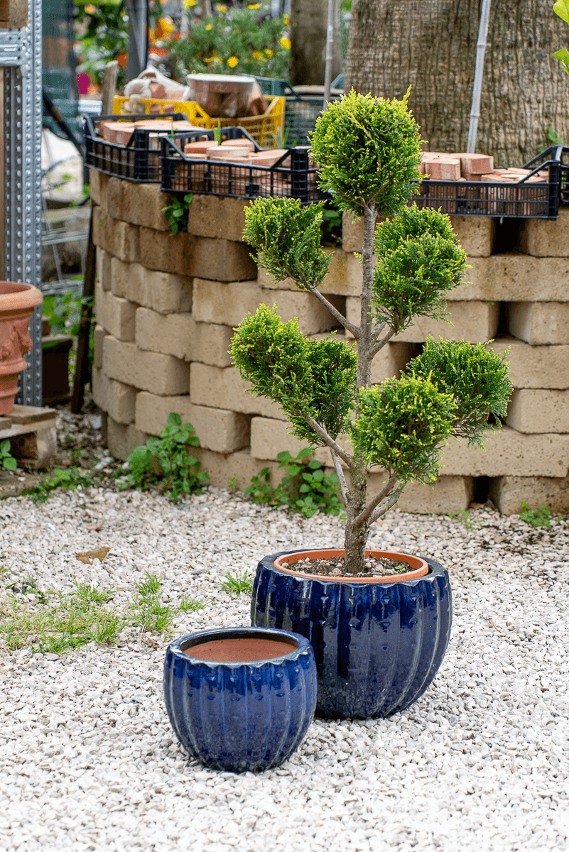 Cachepot Virgo Blu Oltremare