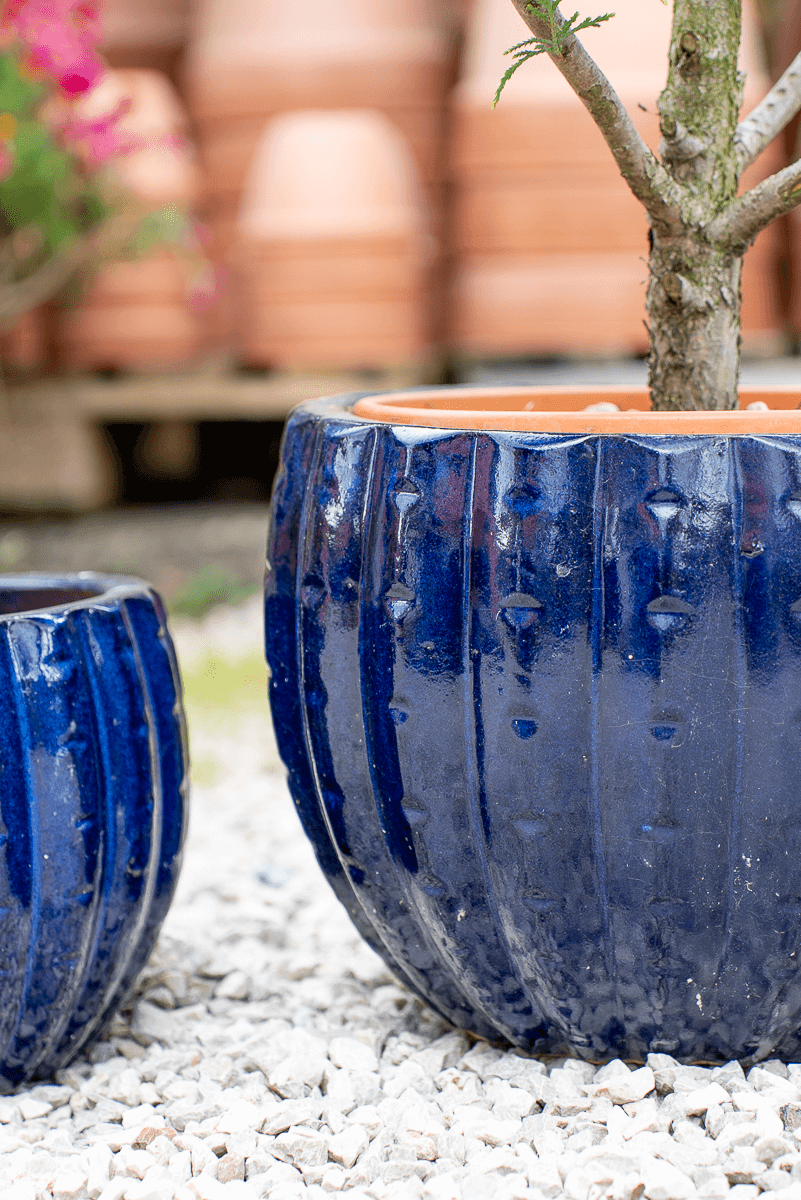 Cachepot Virgo Blu Oltremare