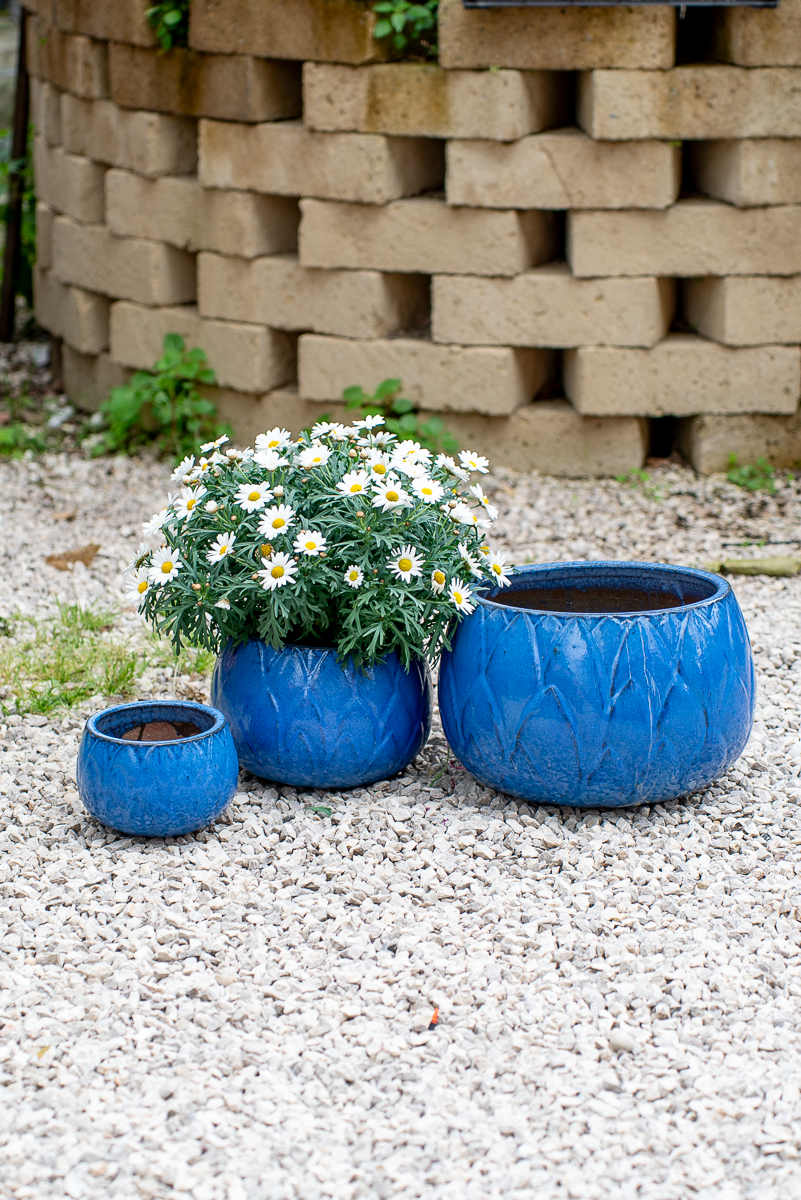 Cachepot Loto Blu Egizio