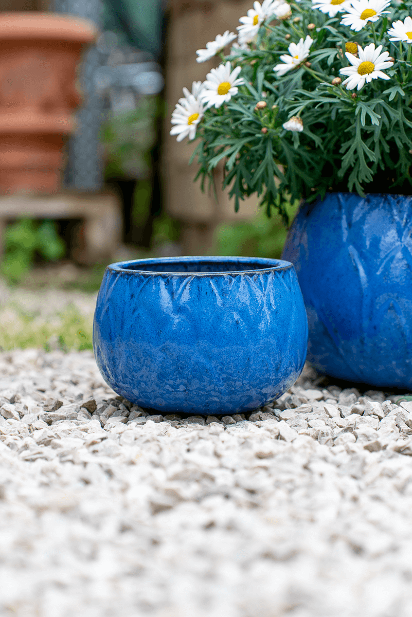Cachepot Loto Blu Egizio
