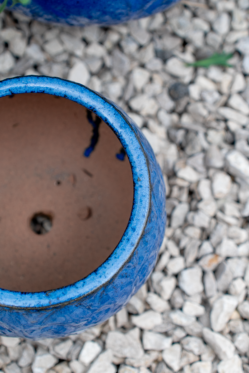 Cachepot Loto Blu Egizio