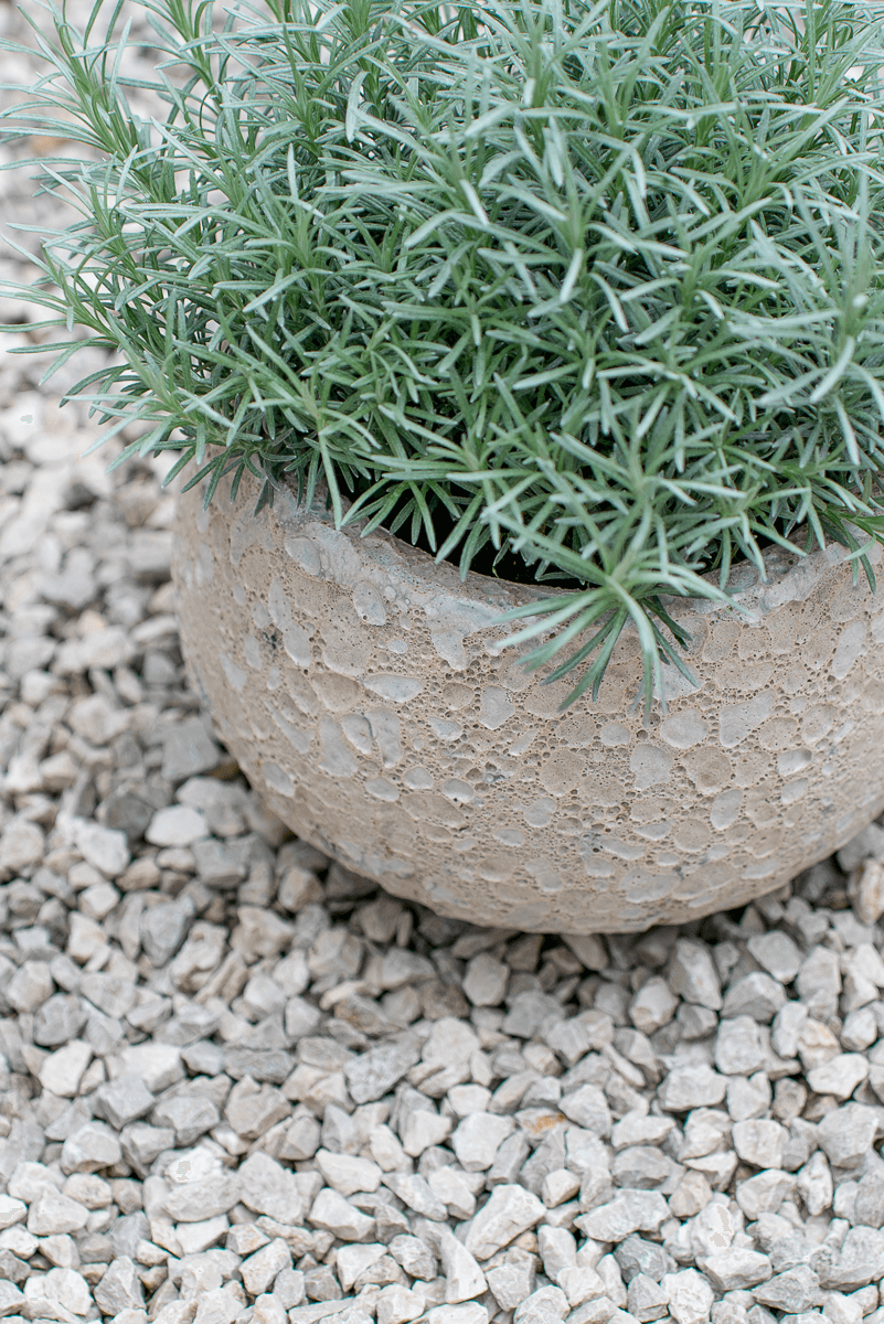 Cachepot Loto Bianco Rock